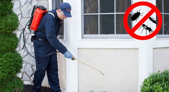 Merkezefendi Kemirgen İlaçlama böcek ilaçlama ve haşere kontrolü — ilaclama-tr.com
